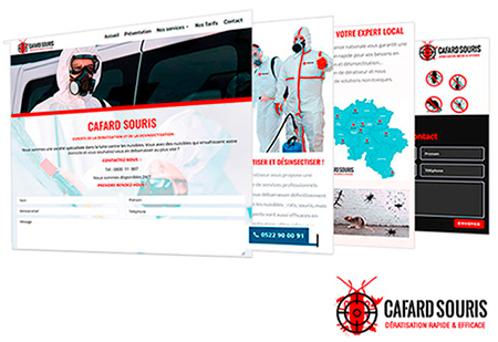 cafards souris belgique création site web casablanca